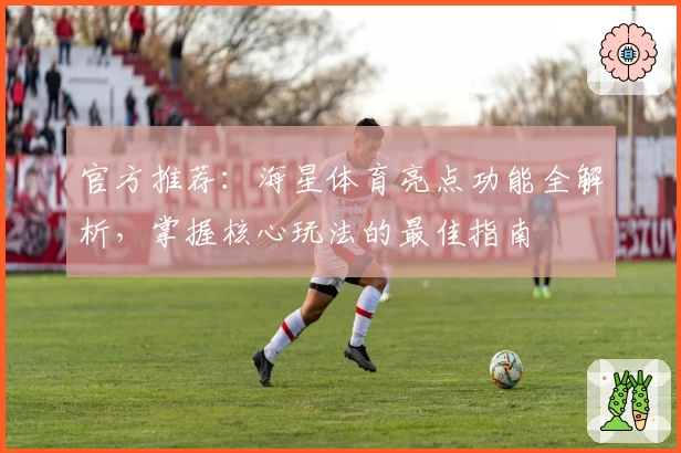 官方推荐：海星体育亮点功能全解析，掌握核心玩法的最佳指南