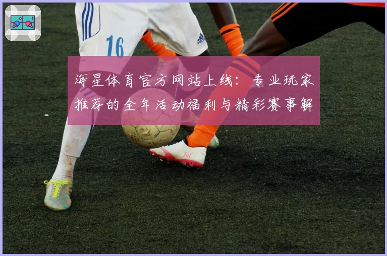 海星体育官方网站上线：专业玩家推荐的全年活动福利与精彩赛事解析