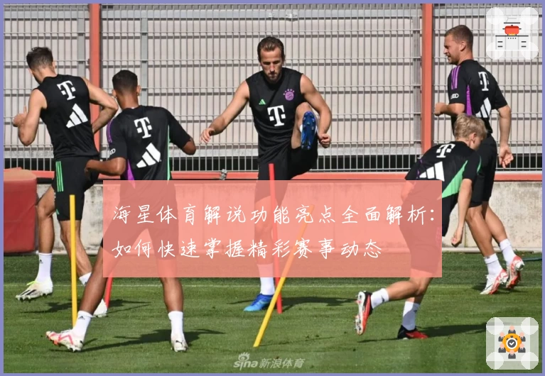海星体育解说功能亮点全面解析:如何快速掌握精彩赛事动态