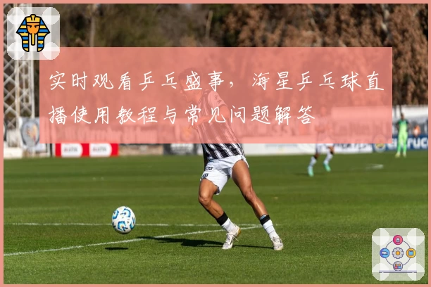 实时观看乒乓盛事,海星乒乓球直播使用教程与常见问题解答
