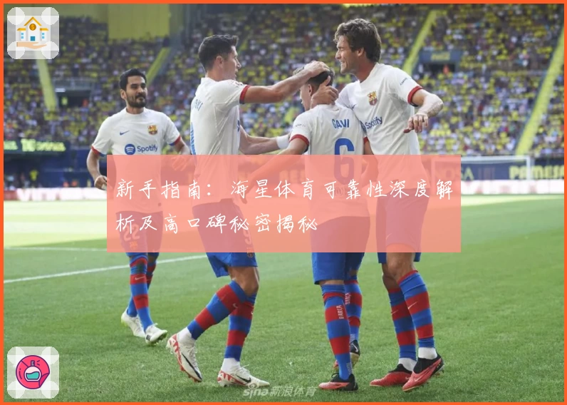 新手指南：海星体育可靠性深度解析及高口碑秘密揭秘