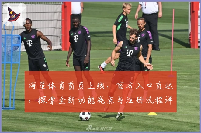 海星体育首页上线，官方入口直达，探索全新功能亮点与注册流程详解