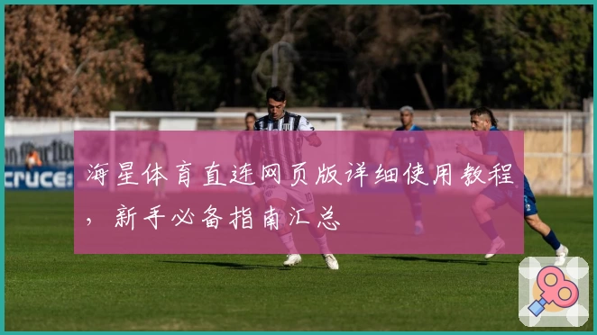 海星体育直连网页版详细使用教程，新手必备指南汇总