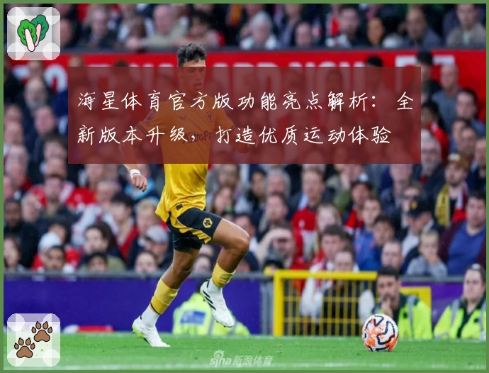 海星体育官方版功能亮点解析:全新版本升级,打造优质运动体验