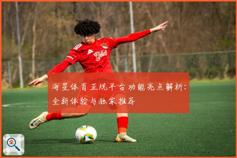 海星体育正规平台功能亮点解析：全新体验与独家推荐