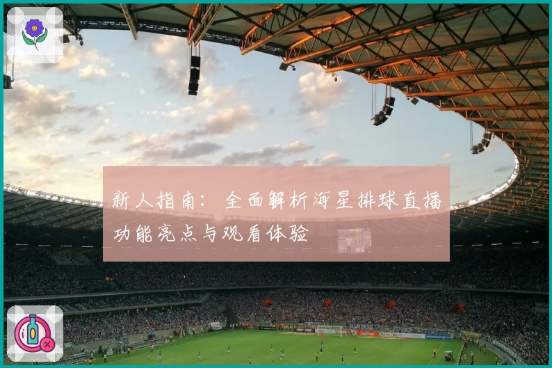 新人指南：全面解析海星排球直播功能亮点与观看体验