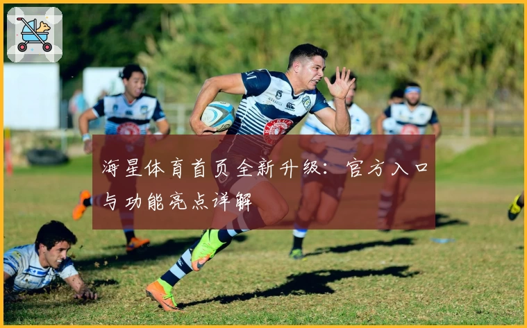 海星体育首页全新升级：官方入口与功能亮点详解